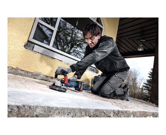 Bosch Professional Expert EXBA18V-80 black battery, AMPShare Alliance Новинки Для дома и сада 