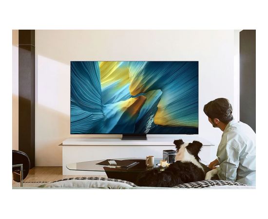 SAMSUNG GQ55S95FATXZG, OLED TV - 55 - black/silver, UltraHD/4K, Vision AI, PVR, Twin Tuner, One Connect Box, 100Hz Panel Телевизоры