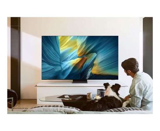 SAMSUNG GQ65S95FATXZG, OLED TV - 65 - black/silver, UltraHD/4K, Vision AI, PVR, Twin Tuner, One Connect Box, 100Hz Panel Телевизоры