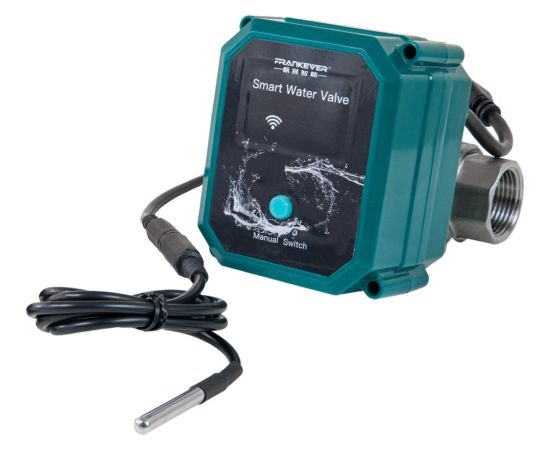 Shelly FrankEver smart water valve DN25, 1", regulating valve green Новинки Для дома и сада 