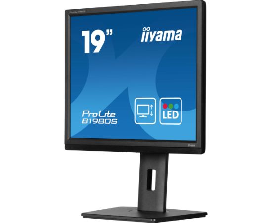 iiyama ProLite B1980S-B1, LED monitor - 19 - black (matte), SXGA, TN, HDMI, DP, ergonomic stand Новинки Компьютерная техника