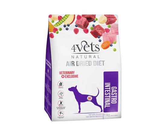 4Vets Gastrointestinal sucha karma dla psów z zaburzeniami trawienia 1kg Suņu barība