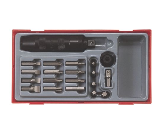 Tengtools Spēka patronu komplekts Teng Tools TTID2; 20 gab. Skrūvgrieži