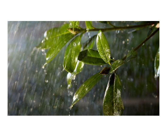 Philips Hue Outdoor 24V Cable Extension, 5m Новинки Компьютерная техника