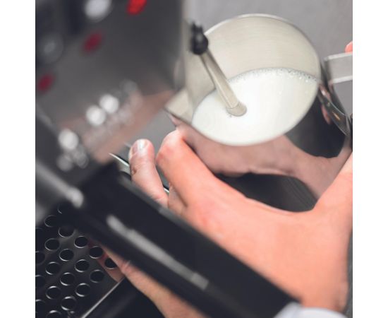Gaggia Coffee Maker RI9481/11 Classic E24 Pump pressure 15 bar Built-in milk frother Semi-automatic Brushed Stainless Steel Кофеварки