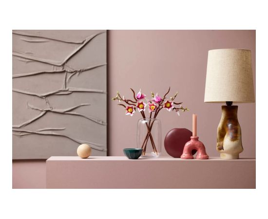 LEGO BOTANICALS 11510 Magnolia Branches Jaunumi, Bērnu preces