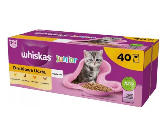 WHISKAS Junior Poultry in jelly - wet cat food - 40 x 85g Kaķu konservi