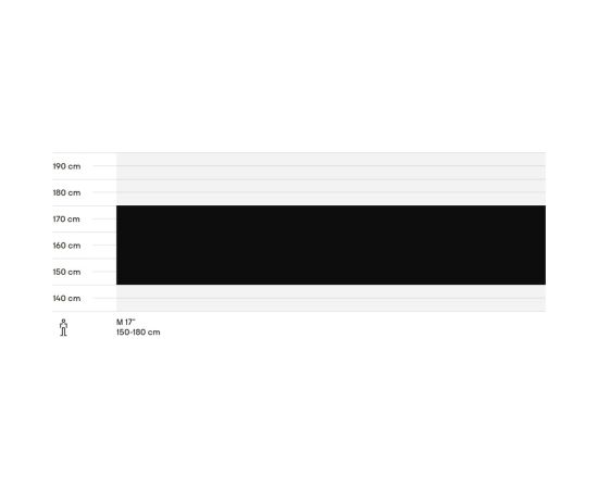 Bike CTM Summer 28" Городские велосипеды