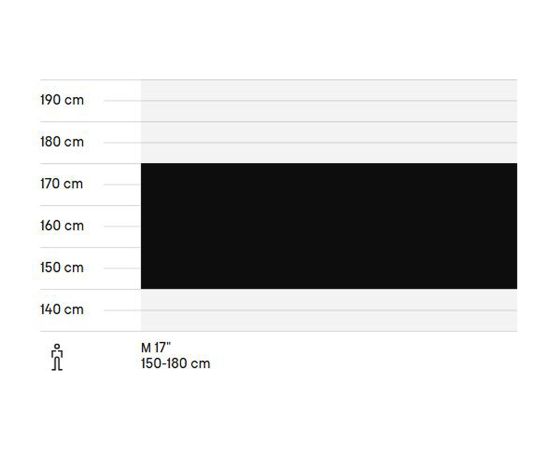 Bike CTM Florence 28" Городские велосипеды