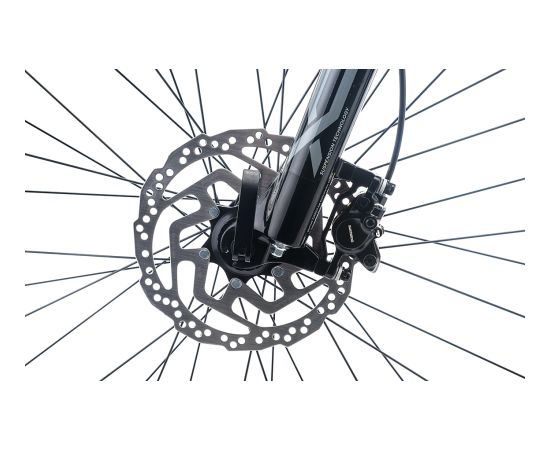 Bike CTM Ruby e-MTB 29" Электрические велосипеды