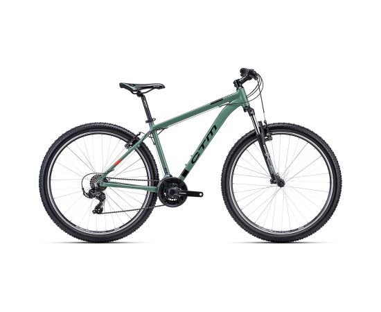 Bike CTM Rein 1.0 29" Горные велосипеды (MTB)