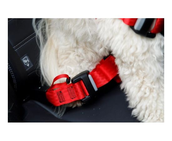 ZOLUX Szelki dla psa TRAVEL SAFE S czarne Citas preces