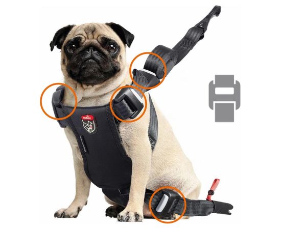 ZOLUX Szelki dla psa TRAVEL SAFE S czerwone Citas preces