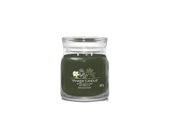 Yankee Candle Silver Sage & Pine Signature Candle 567.0g Telpu aromāti