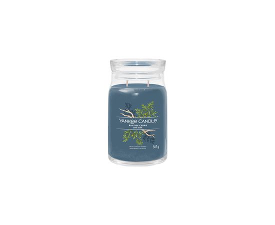 Yankee Candle Bayside Cedar Signature Candle 368.0g Telpu aromāti