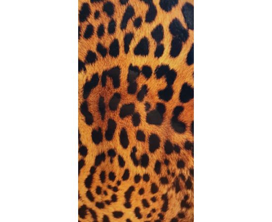 Evelatus Universal  Leopard Colorful Film for Screen Cutter Ekrānu aizsardzība