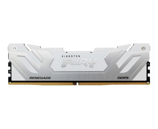 Kingston Fury Renegade, DDR5, 24 GB, 8800MHz, CL42 (KF588CU42RW-24) RAM Operatīvā atmiņa