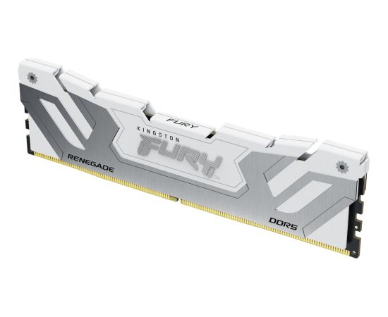 Kingston Fury Renegade, DDR5, 24 GB, 8800MHz, CL42 (KF588CU42RW-24) RAM Operatīvā atmiņa