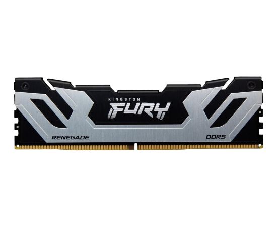 Kingston Fury Renegade, DDR5, 24 GB, 8800MHz, CL42 (KF588CU42RS-24) RAM Operatīvā atmiņa