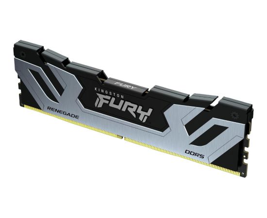 Kingston Fury Renegade, DDR5, 24 GB, 8800MHz, CL42 (KF588CU42RS-24) RAM Operatīvā atmiņa