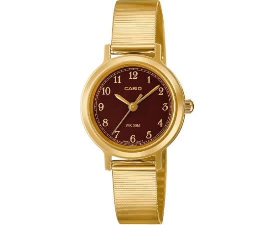 CASIO LTP-B170G-5B (zd660e) + BOX Rokas pulksteņi 