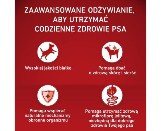 PURINA ONE MED/MAX Adult Dog Lamb & Rice 2,5kg Suņu barība