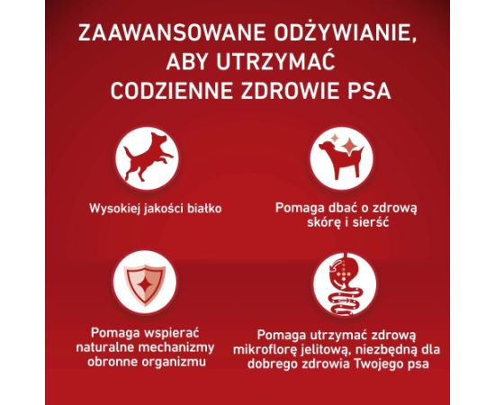 PURINA ONE MED/MAX Adult Beef & Rice 12kg Suņu barība