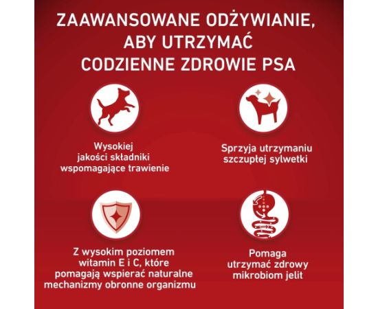 PURINA ONE MED/MAX Adult Turkey & Rice 2,5kg Suņu barība