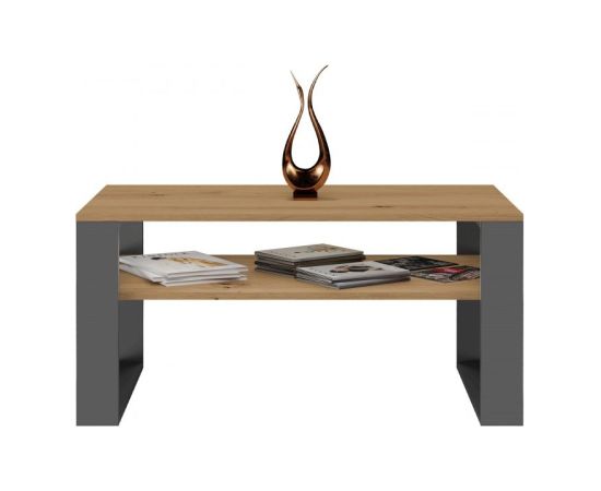Top E Shop MODERN 1P ARTISAN COFFEE TABLE WITH ANTHRACITE LEG Jaunumi -Dārzam
