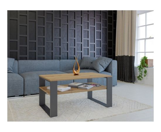 Top E Shop MODERN 1P ARTISAN COFFEE TABLE WITH ANTHRACITE LEG Jaunumi -Dārzam