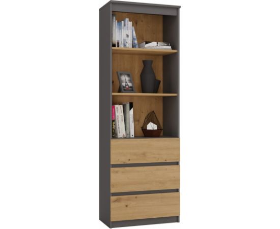 Top E Shop Topeshop RS-60 ANT/ART KPL office bookcase Jaunumi -Dārzam