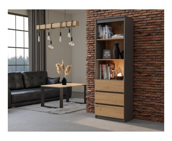 Top E Shop Topeshop RS-60 ANT/ART KPL office bookcase Jaunumi -Dārzam