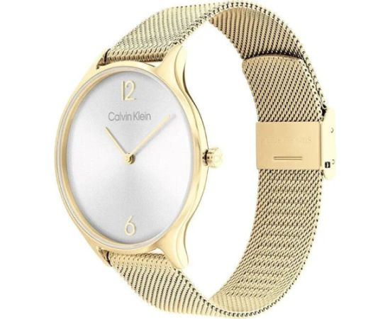 Rokas Pulkstenis CALVIN KLEIN Timeless Mesh 25200003 + BOX Rokas pulksteņi 
