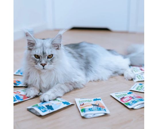 ANIMAL ISLAND Indyk w rosole karma dla kota monopak 40x85g Kaķu konservi