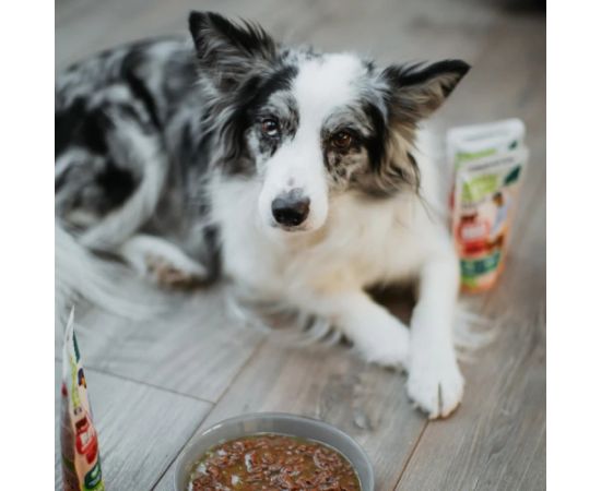 ANIMAL ISLAND indyk/wołowina saszetki dla psa 8x150g Suņu barība