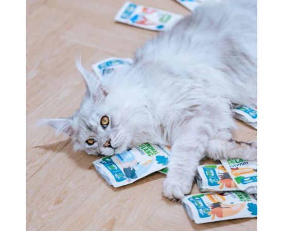 ANIMAL ISLAND indyk/biała ryba w rosole karma dla kota 80x85g Kaķu konservi