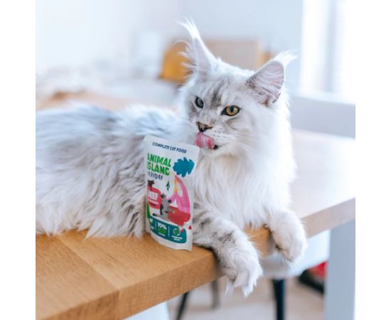 ANIMAL ISLAND wołowina w rosole karma dla kota monopak 40x85g Kaķu konservi