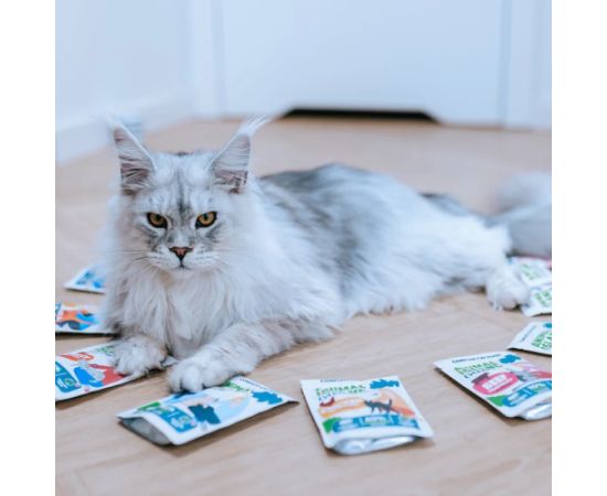 ANIMAL ISLAND wołowina/kurczak/indyk/ryba mix smaków 80x85g Kaķu konservi