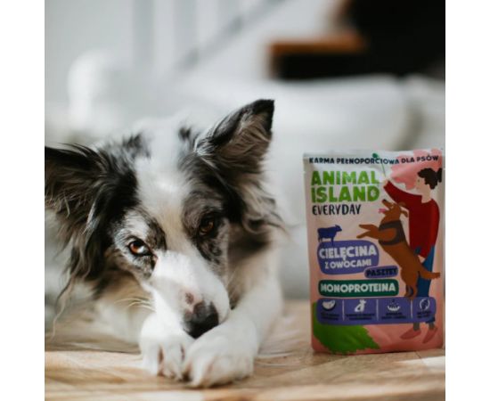 ANIMAL ISLAND Monoproteinowa cielęcina karma dla psa 9x300g Suņu barība