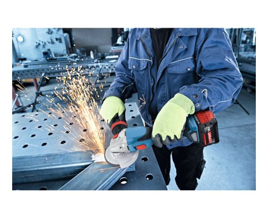 Bosch Powertools Expert battery EXBA18V-150 (black, AMPShare Alliance) Baterijas un akumulatori