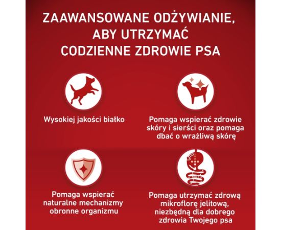 PURINA ONE MEDMAX Adult Sensitive Salmon&Rice 2,5kg Suņu barība