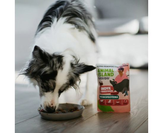 ANIMAL ISLAND Monoproteinowa indyk dla psa 9x300g Suņu barība