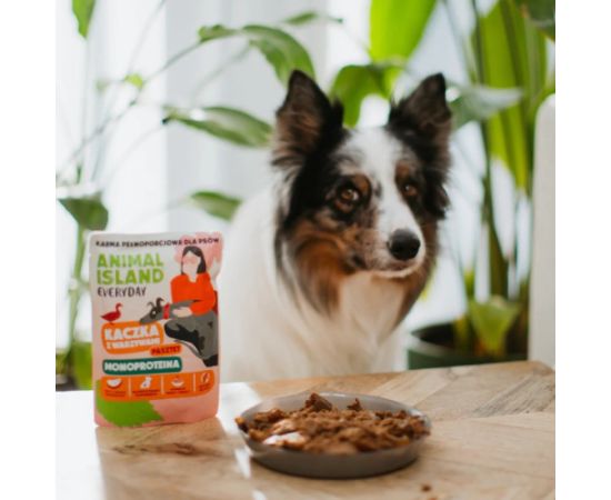 ANIMAL ISLAND Monoproteinowa kaczka karma dla psa 9x300g Suņu barība