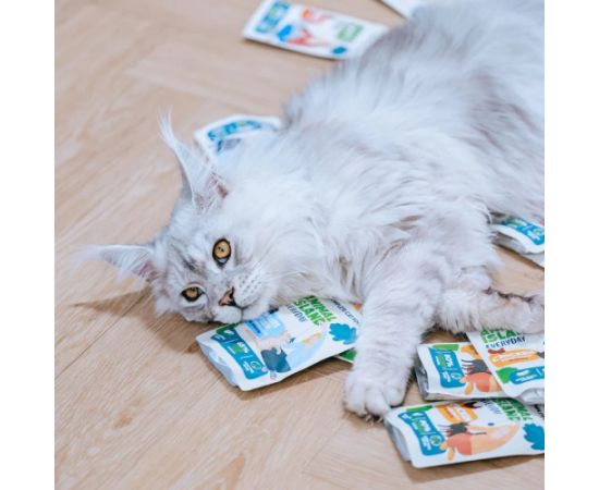 ANIMAL ISLAND biała ryba w rosole karma dla kota monopak 40x85g Kaķu konservi