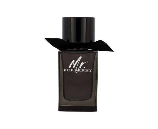 Mr. Burberry 100ml Vīriešu Smaržas