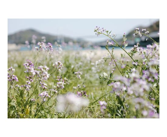 Panasonic Lumix S 24-60mm f/2.8 lens Objektīvi