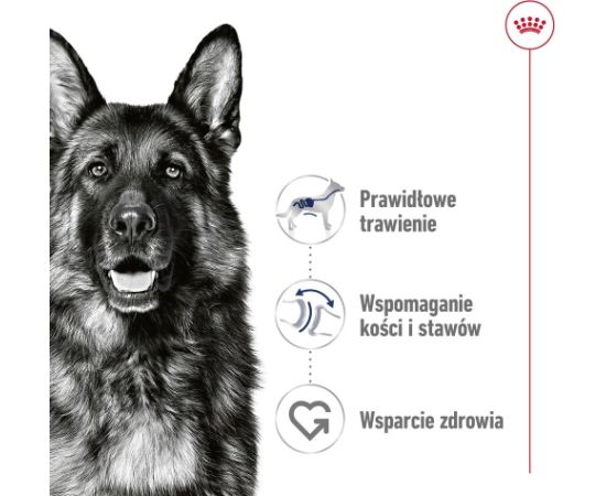 ROYAL CANIN SHN Maxi Adult Loaf Can 410g Suņu barība