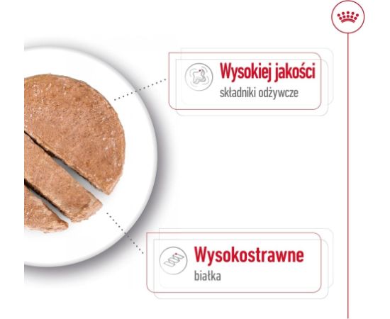 ROYAL CANIN SHN Maxi Adult Loaf Can 410g Suņu barība