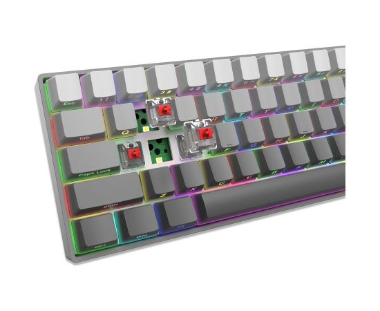 White Shark GK-007711 Nunchaku Grey / Red US Клавиатуры