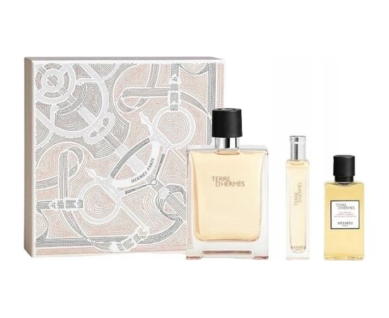 Hermes Men's Terre D' Gift Set Fragrances Новинки Компьютерная техника